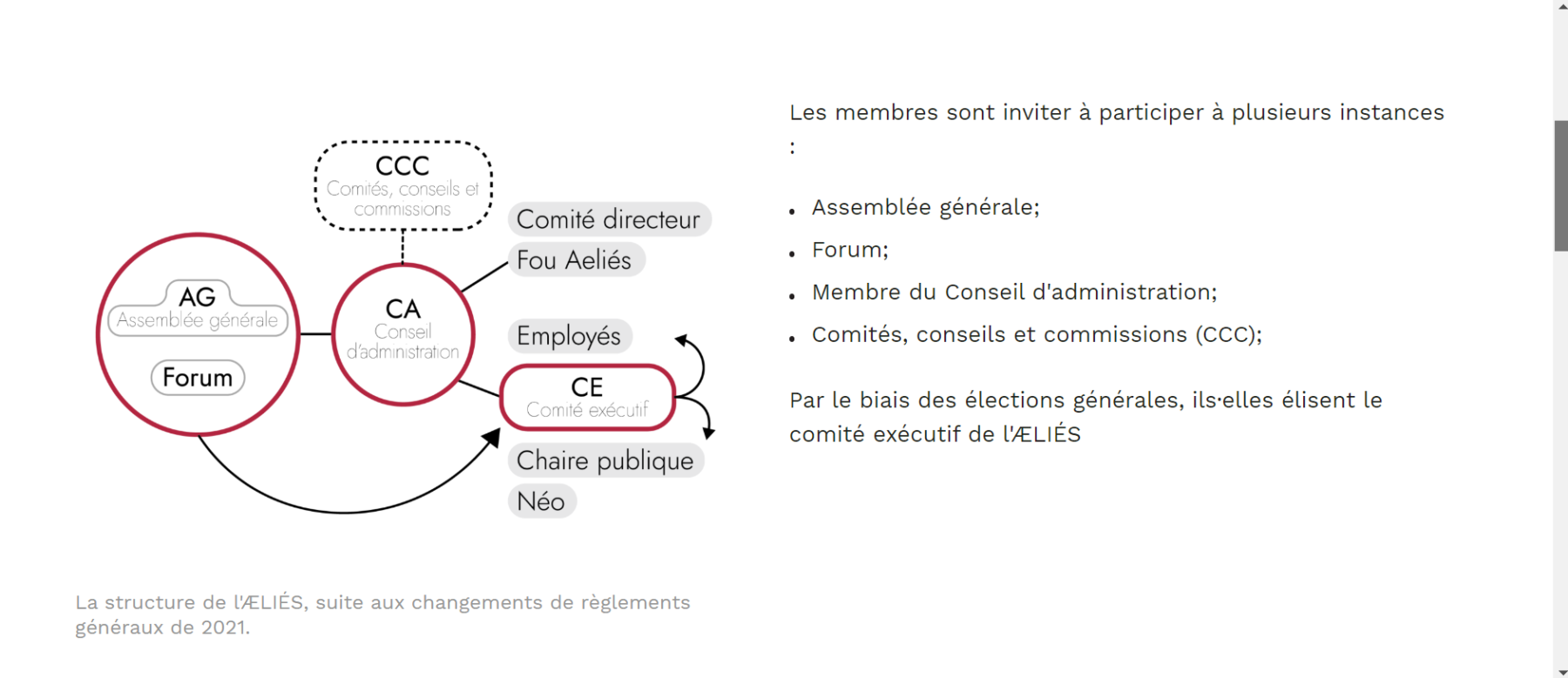 La structure de l'ÆLIÉS, suite aux changements de règlements généraux de 2021. 